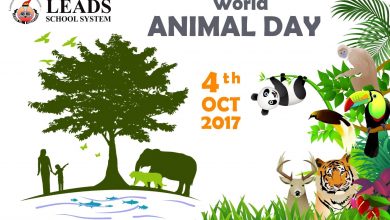 Photo of World Animal Day | 4 October | Leads School System