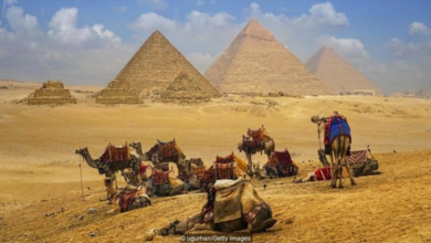 Photo of Egypt: Why should tourists visit Cairo in 2020?