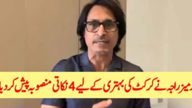 Photo of Rameez Raja Presented A Four-Point Plan For The Betterment Of Cricket
