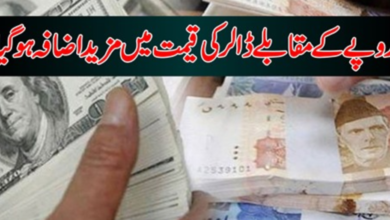 Photo of USA Dollar Increased in Local Open Currency Market | Report Live Updates