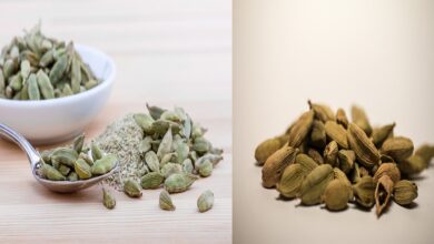 Photo of Cardamom | 5 Benefits That Will Make Your 5 Big Difficult Easiest