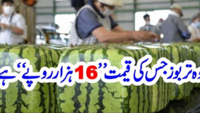 Photo of The World’s Most Expensive Watermelon – Japan