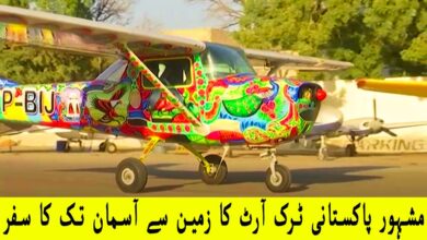 Photo of Famous Pakistani Truck Art Journey From Earth To Sky